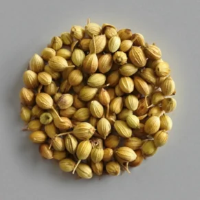Coriander Seeds / Dhaniya Seed