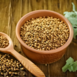 Coriander Seeds / Dhaniya Seed - 250 gm