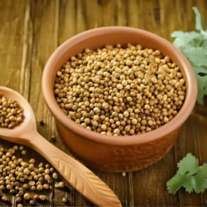 Coriander Seeds Dhaniya Seed New