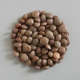 Masoor Whole - 500 gm